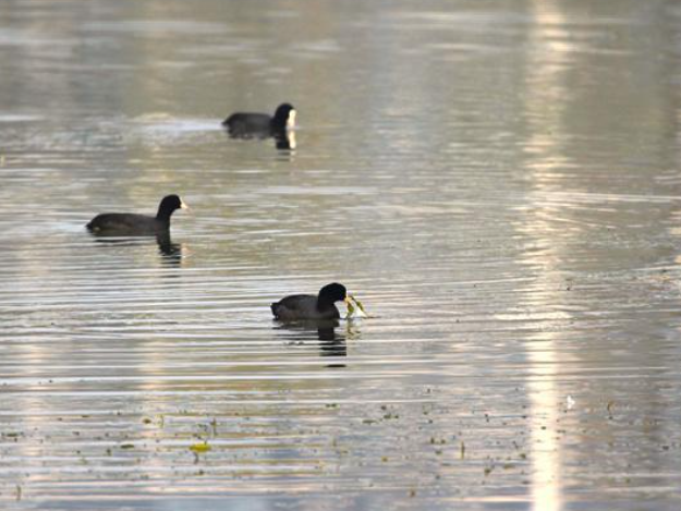 20392953068393533_106.png 20392953068393533_106.png