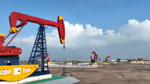 外国友人看胜利 |