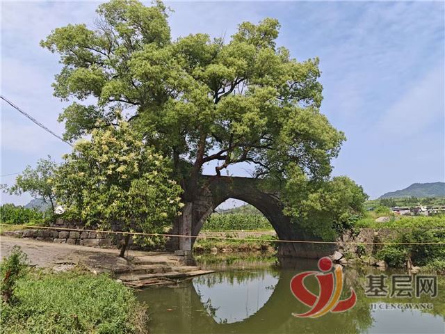 21493493994214597_75.jpg 21493493994214597_75.jpg