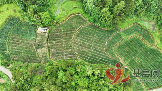 17560320351584028_92.png 17560320351584028_92.png