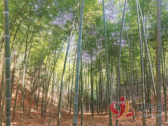 21322936275741548_92.png 21322936275741548_92.png