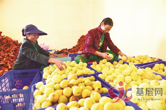 1006109723263341_92.png 1006109723263341_92.png