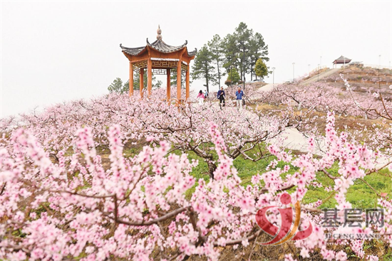 10073173392292598_92.png 10073173392292598_92.png