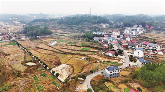 10080887456278541_92.png 10080887456278541_92.png