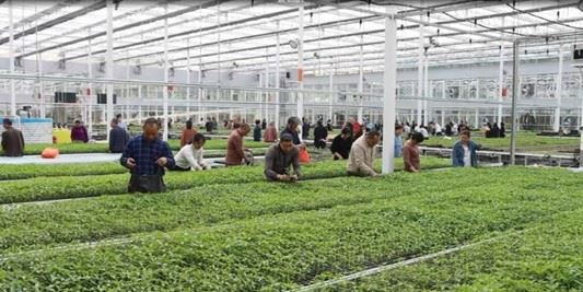 20400011521423055_84.jpg 20400011521423055_84.jpg