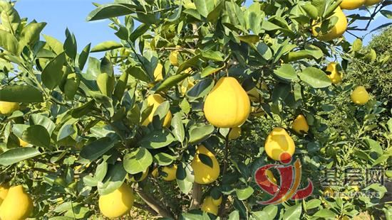 07370670737834618_92.jpg 07370670737834618_92.jpg