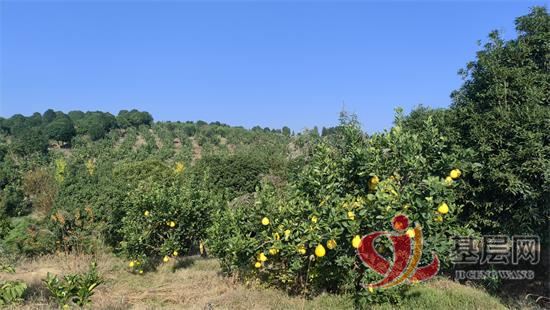 07381926283941934_92.jpg 07381926283941934_92.jpg